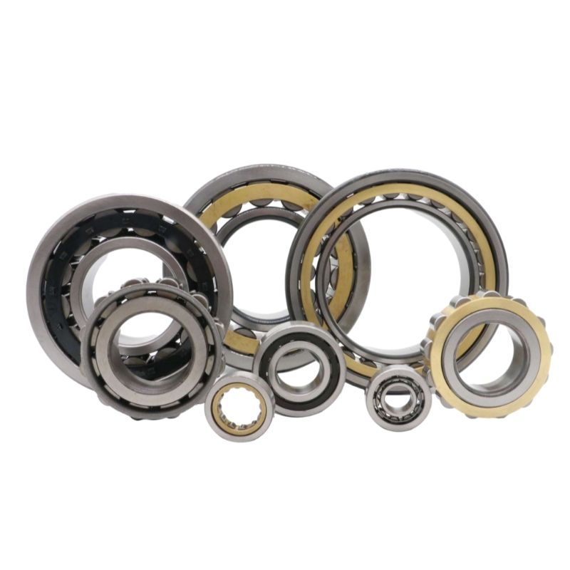 Cylindrical Roller Bearings NJ12