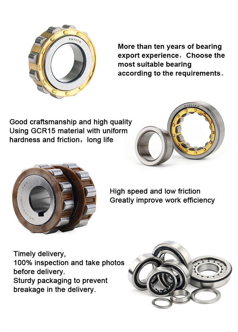 Cylindrical Roller Bearings N6