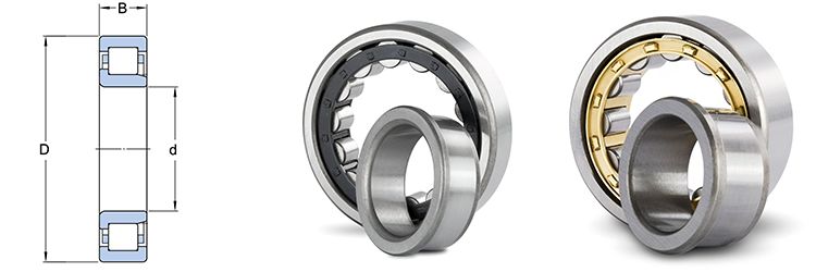 Cylindrical Roller Bearings NJ15