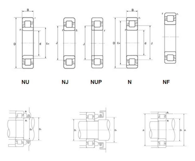 Cylindrical Roller Bearings N4
